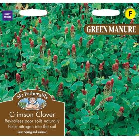Green Manure Crimson Clover Seeds